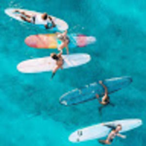 Meet your Posher, Ella